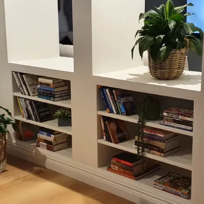 Custom book shelves